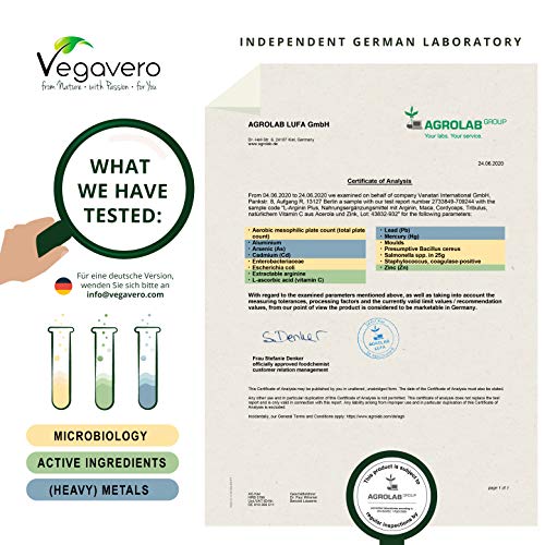 L-Arginina Plus Vegavero® | LA ÚNICA SIN ADITIVOS | Con Zinc + Tribulus Terrestris + Cordyceps Sinensis + Maca | 270 Cápsulas | Testosterona Hombre* + Vasodilatador + Masa Muscular | Pre Entreno