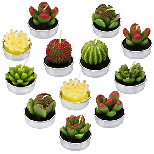 LA BELLEFÉE - 12 Velas Suculentas Plantas Cactus Decorativas para Casa Regalos para Halloween Navidad Cumpleaños Fiestas Boda Adorables Regalos para los Amantes de Suculentas