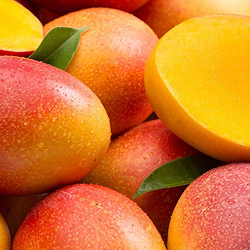 La Casa Aromas Mikado Reposicion 100 Ml con Varillas (Mango & Papaya Tropical)