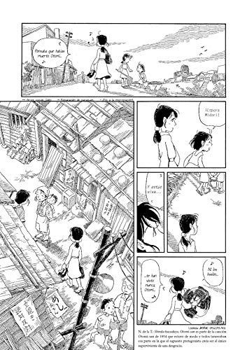 La ciudad al atardecer. El país de los cerezos.