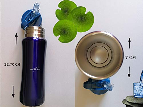 La compra de Mike - Botella de agua de acero inoxidable con aislamiento de doble pared BPA, botella de agua reutilizable de 600 ml, pajita hermética de fácil limpieza Flip-Top.