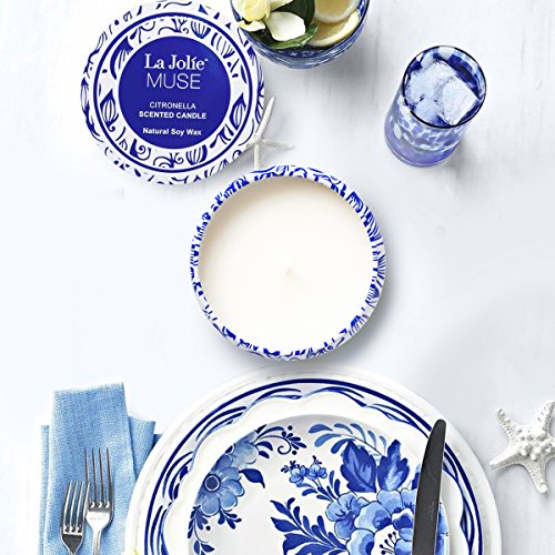 La Jolíe Muse Velas de citronela, Juego de Velas perfumadas de 2 Cera de Soja para Viajes en Interiores y Exteriores, 45 * 2 Horas