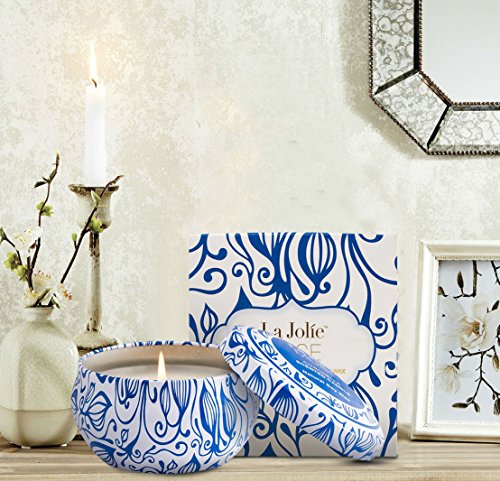 La Jolíe Muse Velas de citronela, Juego de Velas perfumadas de 2 Cera de Soja para Viajes en Interiores y Exteriores, 45 * 2 Horas