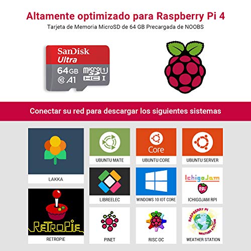 LABISTS Raspberry Pi 4 4GB Retro Gaming Kit con SD de 64GB y 5.1V 3A Tipo C con Interruptor, RPi Barebone con 3 Disipadores de Calor, 2 mandos, Ventilador, Micro HDMI, Lector de Tarjetas y Caja Negra