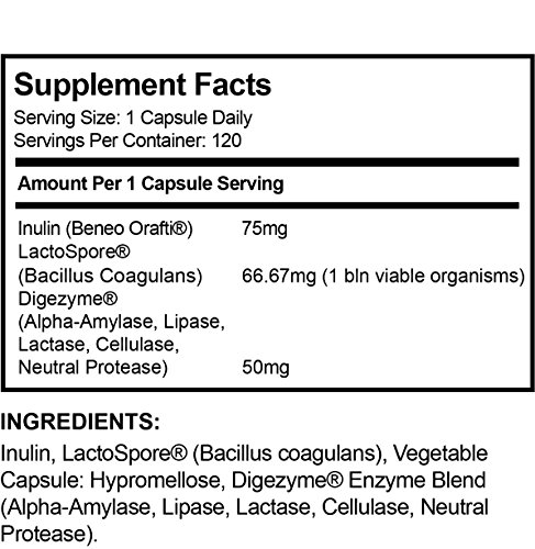 LactoSpore® (Bacillus Coagulans) Plus de LLS | Probióticos | 15 mil millones de UFC por gramo | 120 Cápsulas - Suministro para 4 meses | Incluye Enzimas Digestivas e Inulina Prebiótica
