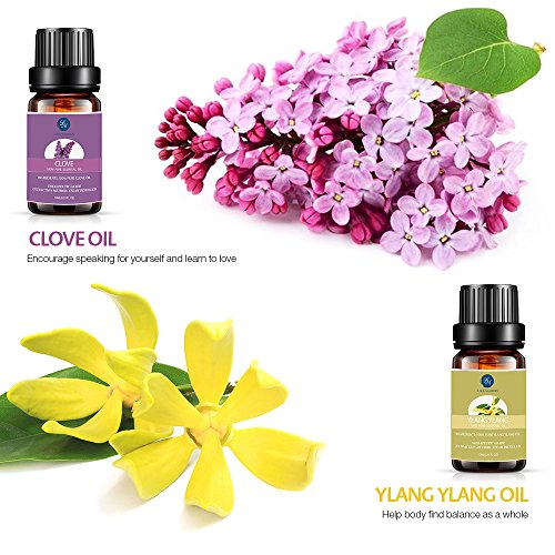 Lagunamoon Aceites Esenciales, Top 10 Set de Regalo de Aceites de Aromaterapia de Lavanda, Eucalipto, Menta, Romero, Aceites Esenciales para Humidificadores, 100% Puros