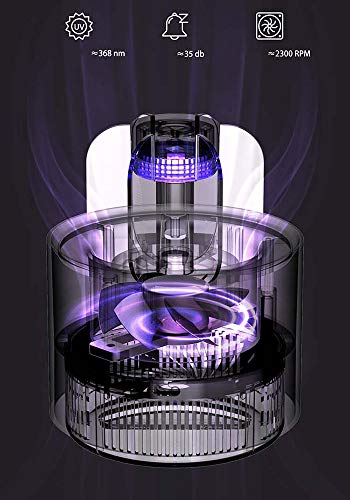 Lámpara Cactus Antimosquitos Eléctrico,UV LED Mosquito Insect Zapper Killer USB Trampa Luz Insecto Mosca Asesino Colector 100% Seguro para Niños o Mujeres Embarazadas Mata Insectos Polillas Moscas