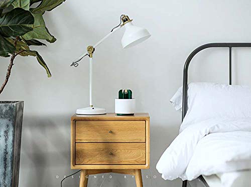 Lámpara Cactus Antimosquitos Eléctrico,UV LED Mosquito Insect Zapper Killer USB Trampa Luz Insecto Mosca Asesino Colector 100% Seguro para Niños o Mujeres Embarazadas Mata Insectos Polillas Moscas