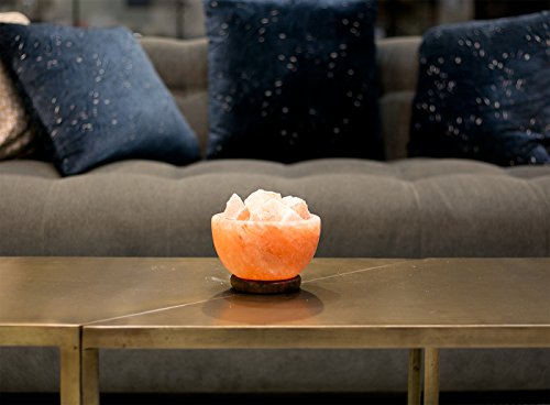Lámpara de sal del Himalaya natural hecha a mano por Ambient Authentic Natural Crystal Salt Rock con regulador de intensidad con certificación UL