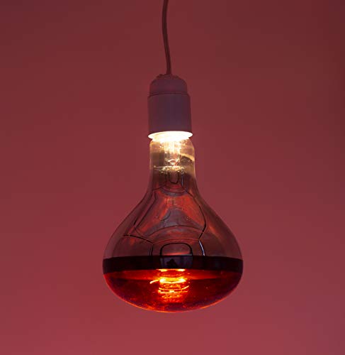 LAMPARA INFRAROJO 250W E-27 220-240V.