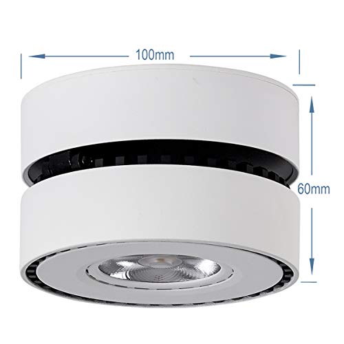 LANBOS 12W Lámpara de techo LED,Foco LED para techo y pared, Focos para el techo,Lámpara de pared,Luz de techo led,Plafón con Focos,Orientable, IP20, 10X6CM (blanco+Blanco Neutra)