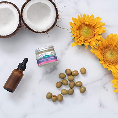 Lansinoh 23130 BIO - Pomada para pezones, 60 ml, transparente