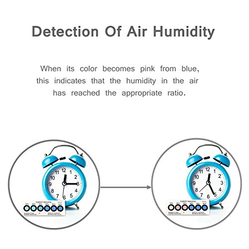 lapurete de® Paquete de 5 Gramos de 50 Paquetes de Gel de sílice desecante Deshumidificadores (regeneración)