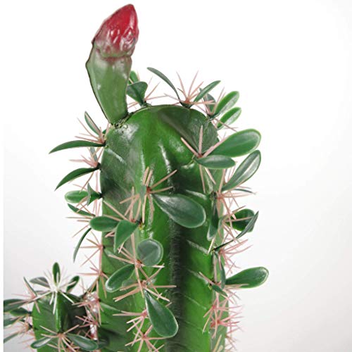 Leaf - Cactus Artificial (100 cm, con Maceta, 110 cm)