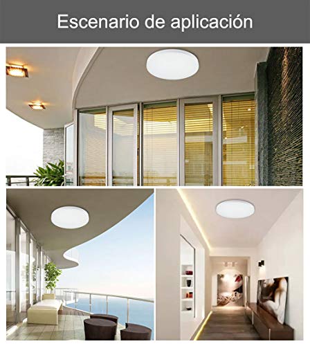 LED Lámpara de Techo 24W Interior Plafón Moderna LED de Techo Redonda Ultra fina IP 20 170-265V AC SMD 2835 Epstar Vida útil 30000 Horas De Baño Pasillo Cocina Sala Salón Comedor (Circular Ice, 24W)