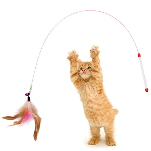 Legendog Juguetes para Gatos, 10 Piezas Juguete Interactivo para Gatos con Plumas para Kitty