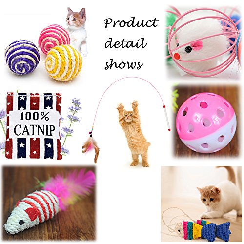 Legendog Juguetes para Gatos, 10 Piezas Juguete Interactivo para Gatos con Plumas para Kitty