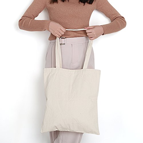 LEMESO 2 Bolsas de Lona para Compra Bolsas de Compra Reutilizables DIY Decoración