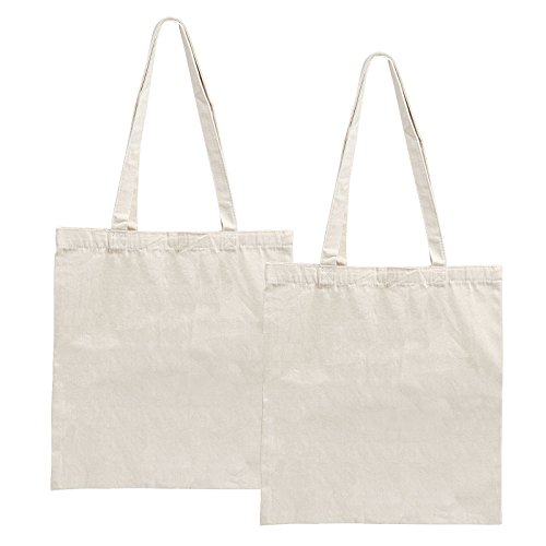 LEMESO 2 Bolsas de Lona para Compra Bolsas de Compra Reutilizables DIY Decoración