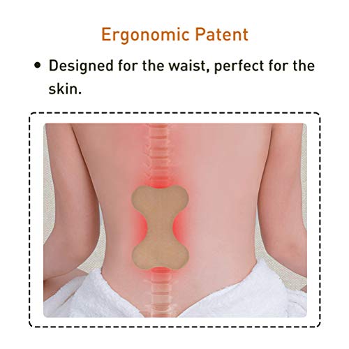 Lespar 12 Parches para aliviar el Dolor de ajenjo, Parche para aliviar el Dolor, Alivio del Dolor para el Cuello y el Hombro, Parche térmico, Parches de ajenjo para relajación de Las