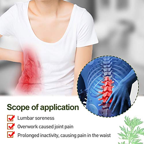 Lespar 12 Parches para aliviar el Dolor de ajenjo, Parche para aliviar el Dolor, Alivio del Dolor para el Cuello y el Hombro, Parche térmico, Parches de ajenjo para relajación de Las