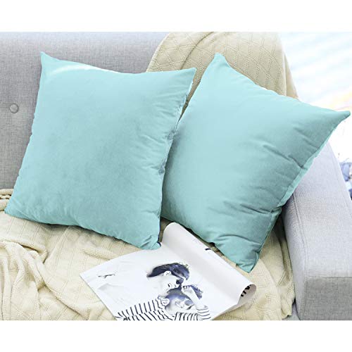Lewondr Funda de Almohada de Terciopelo,(2 Pack) 45 x 45cm Funda de Cojín Cuadrada Moderna de Color Sólido Suave Protectora de Almohada para Sofá Cama Decoración del Hogar,Coche, Bebe Azul