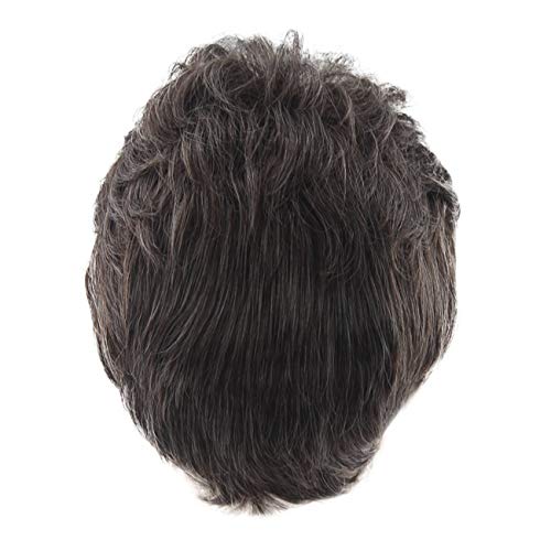 LHWY Peluca Natural Rubia Negra Pelo Moda Peluca Corta para Hombre Peluca De Hombre para Hombre, MarróN, Guapo Y Fresco Peluca Nueva