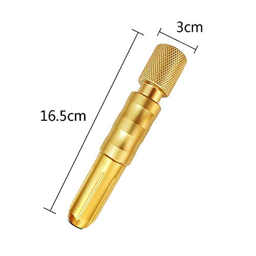 Liduzx Pluma de inyección hialurónica de 0,3 ml/0,5 ml, microinyector de ácido hialurónico, antienvejecimiento, herramienta de belleza para el cuidado de la piel