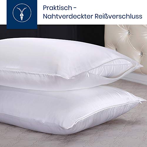 LilySilk - Funda de almohada de seda natural, 19 mm, para cuidado del cabello, cierre transparente invisible, seda, blanco, 40 x 80 cm