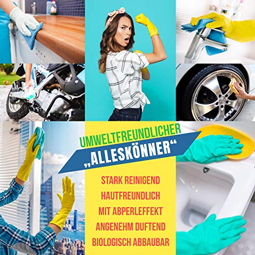 Limpiador de hogar y multiusos de piedra blanca, limpiador universal y limpiador , limpiador de cocina profesional y limpiador de acero inoxidable, piedra purificadora premium de Urban Forest