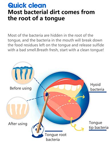 Limpiador de lengua, ECOPRO, paquete de 4 cepillos de lengua de bambú para adultos, respetuoso con el medio ambiente, herramienta de higiene bucal, más cómoda que los rascadores de acero inoxidable