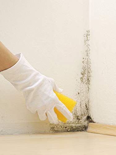 LIMPIADOR DE MOHO, Antimoho, Tratamiento- elimina-limpia el moho, eficaz para Manchas de microorganismos en terrazas, tejados, muros, paredes, jardin, azulejos, bañeras, cocinas, baldosas, aseo 500 ML