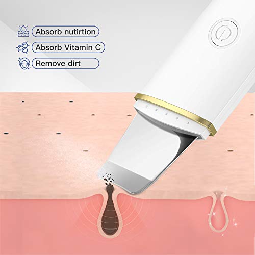 Limpiador Ultrasónico Facial, Skin Scrubber, Exfoliación de Cara, 4 Modos para Limpiar los Poros y Cuidar la Piel, USB Recargable, Dispositivo de Belleza