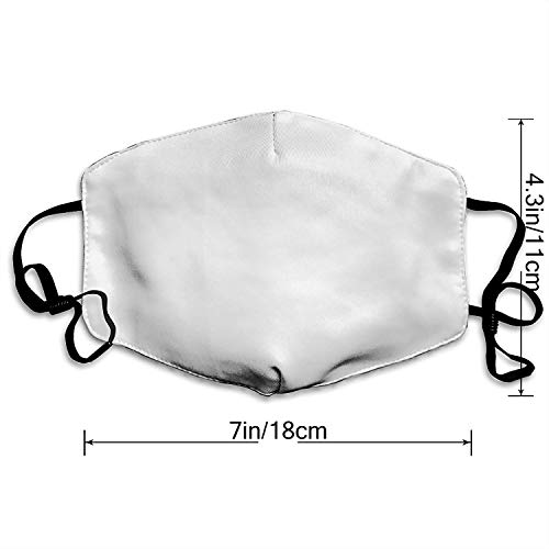 Lindo Gato con Flores y Todo lo Que Necesitas es Amor Boca Co-Ver Cuello Polaina Bufanda Bandana Balaclava 11X18CM