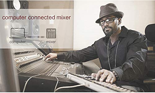 LinkinPerk 3M Cable audio 3.5mm a doble 6.35 mm Mono Audio Jack,3.5 estéreo a 2 conectores 6.35 para teléfonos inteligentes, Dispositivos de Cine en casa, amplificadores,guitarra