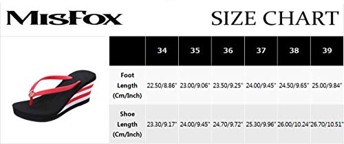 LINNUO Chanclas Cuñas Mujer de Rayas Sandalias Plataformas Flip Flops de Playa Verano Pantuflas Tacon con Metal (Negro,CN 36)