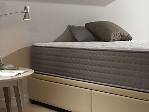 Living Sofa COLCHÓN VISCO GRAFENO Certificado con Almohada DE Regalo Aloe Vera VISCO GRAFENO 135 x 190 (Todas Las Medidas)