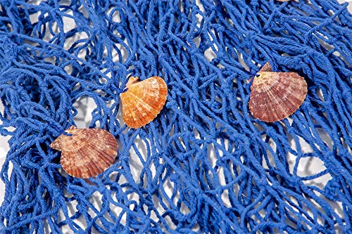 Locisne Red de Pesca náutica Decorativa, Red de la Playa con la decoración de la ejecución del Techo de la Pared del hogar de la Barra del Partido de la Playa de Las cáscaras, el 1.5 * 2m