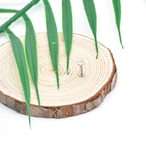 Longita 16G Acero Quirúrgico Pendientes Helix Cartilago Tragus Piercings Oreja Barbell 6mm 8mm Joyería del Cuerpo 10 Piezas