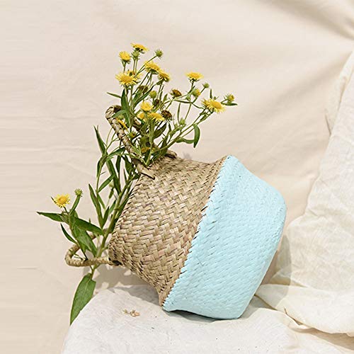 Longra ☂☂☞☞ Cesta Diaria de la Cesta de Mimbre de la Canasta de Mimbre de la Cesta de Mimbre de Seagrass Cesta Diaria para la decoración