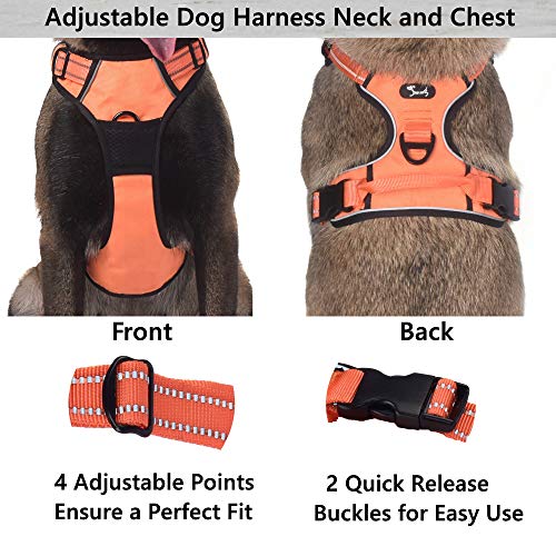 Louvra Arnés del Perro Collars de Perro Reflectante, Tamaño XL (81-107CM), Color Azul (M, Naranja)