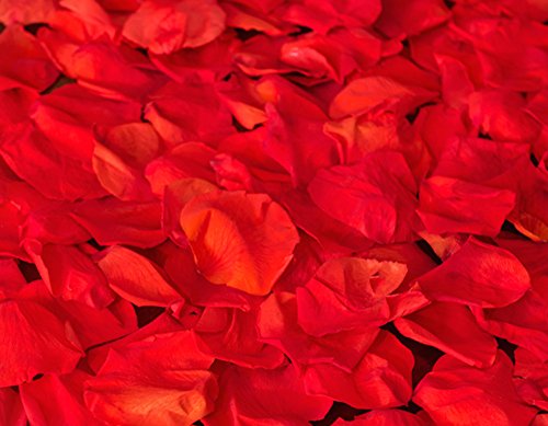 LOVERSpack Romantic Pack Qadesh - con Este Pack romántico podrás Decorar tu Mesa y sorprender a tu Pareja con una Cena romántica en casa o en un Hotel. ¡Regala Momentos Especiales!