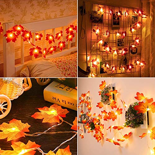 LOVEXIU Luces Decorativas de Navidad,Thanksgiving,Otoño Exterior,LED Guirnaldas Luminosas, iluminación led para jardín,Artificial Autumn Maple Leaves Luces de Cadena de Halloween Calabazas Decorativa