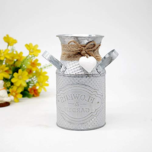 LSX Manualidades de Metal - Macetas para Plantas Hogar Retro Salón Decoraciones de Escritorio Balcón Jardín Jardín Suculentas Macetas para Flores