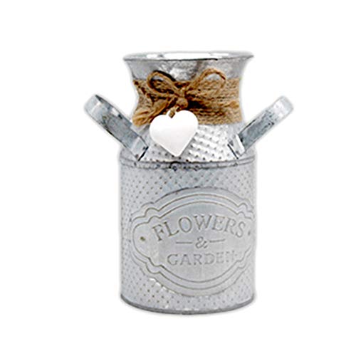 LSX Manualidades de Metal - Macetas para Plantas Hogar Retro Salón Decoraciones de Escritorio Balcón Jardín Jardín Suculentas Macetas para Flores