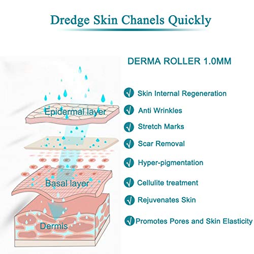 LUOLLOVE Dermaroller 1mm Titanio 540 Micro Rodillo Agujas para Cuidado de la Piel,Anti Arrugas,Eliminación de Cicatrices,Estrías,Tratamiento de Celulitis