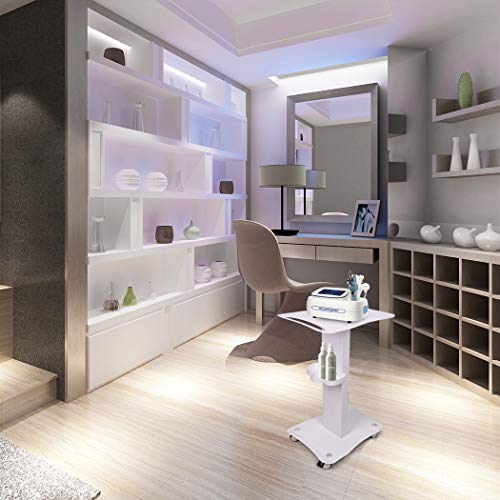 LUVODI Carrito de Belleza con Ruedas Carrito de Hierro para Equipo de Belleza Carro de Mantenimiento para SPA Peluquería Salón de Belleza Hogar Carga Máx 65kg