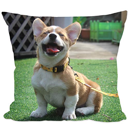 Luxbon Funda de Cojín Personalizada 45x45cm Doble Cara Impresa Cualquier Texto y Imagen Funda Almohada Blanco para Regalos de Boda Hogar Decoración - Tela de Terciopelo