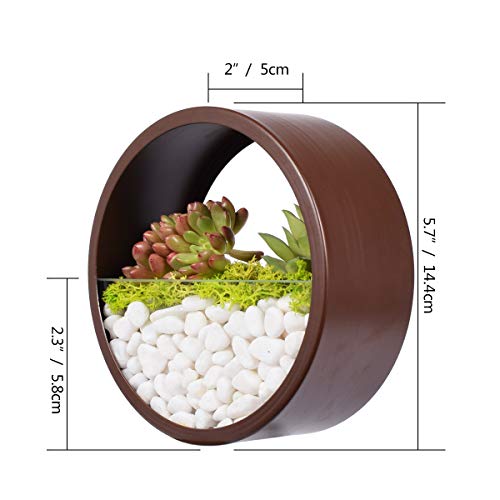 Macetas Pared Metal Jarrones Colgantes, interior plantas Recipientes Maceteros Pequeños Resina para Hierbas Flores Plantas Casa y Jardín Porche Boda Pared Decorativos Uso en Interior Exterior