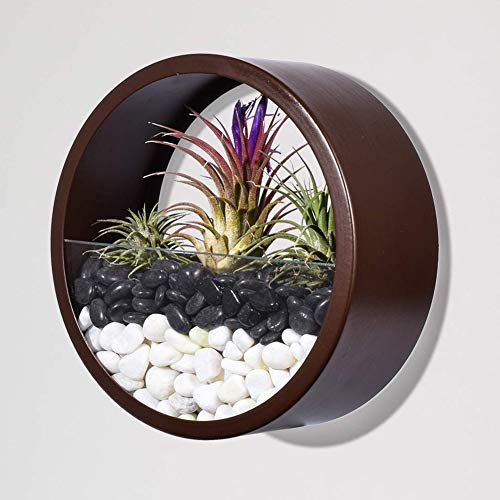 Macetas Pared Metal Jarrones Colgantes, interior plantas Recipientes Maceteros Pequeños Resina para Hierbas Flores Plantas Casa y Jardín Porche Boda Pared Decorativos Uso en Interior Exterior